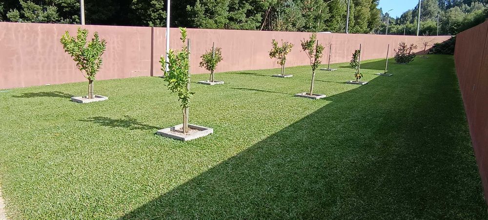 Serviços de Jardinagem: "Corte de Relva, Podas e Limpeza de Terrenos"
