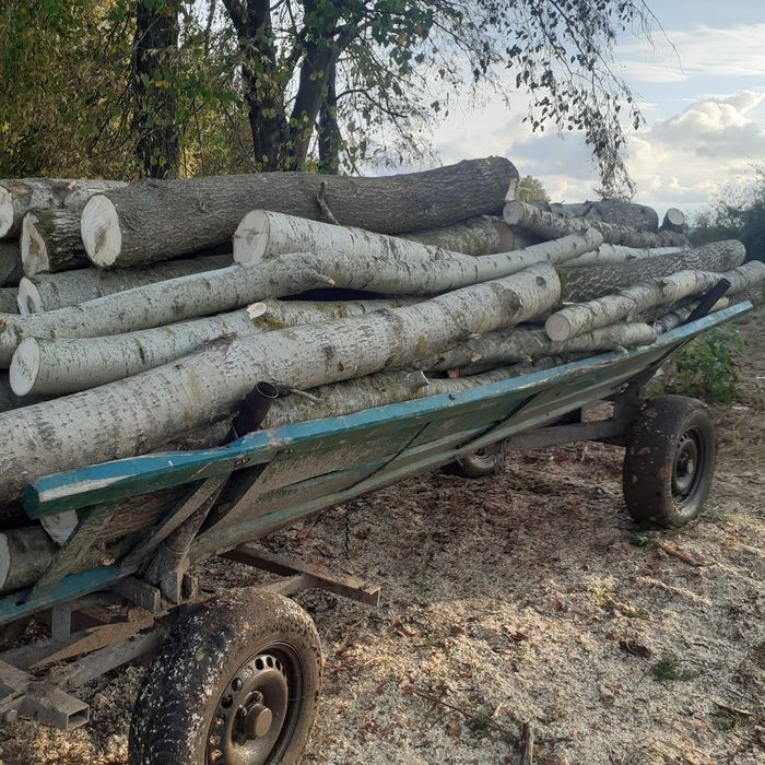 Продам дрова 650.