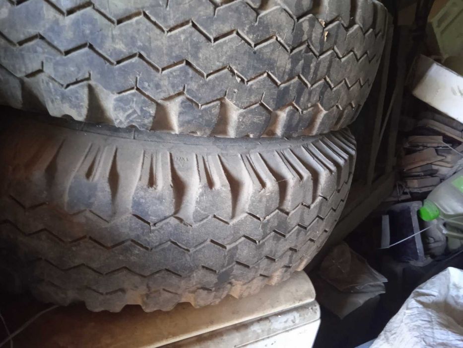 Скати не потріскані