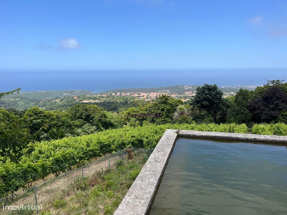 Quinta única em Colares