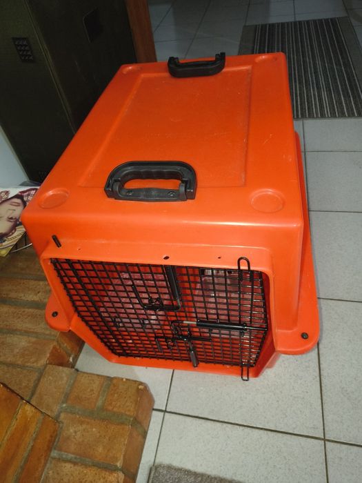 Caixa de transporte para cão