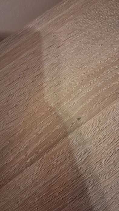 Stol z 4 krzesłami dąb sonoma