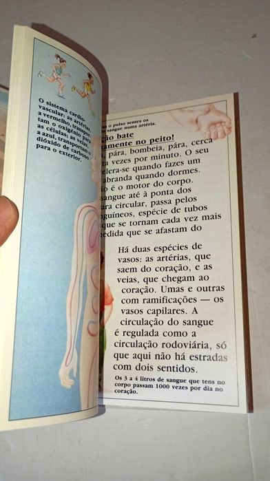 O Corpo Humano, uma maravilhosa máquina - Descobrir