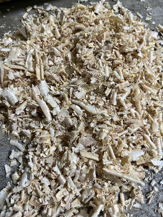 Fita de madeira de pinho