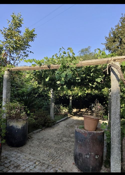 Small farm for sale