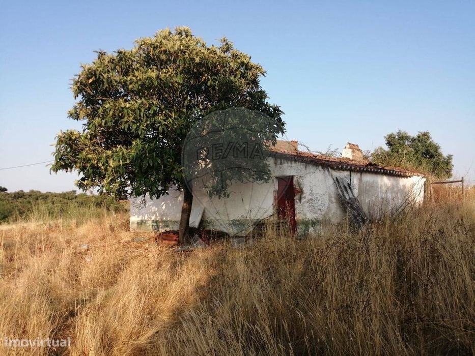 Quinta  para venda — Estremoz (Santa Maria E Santo André), Évora