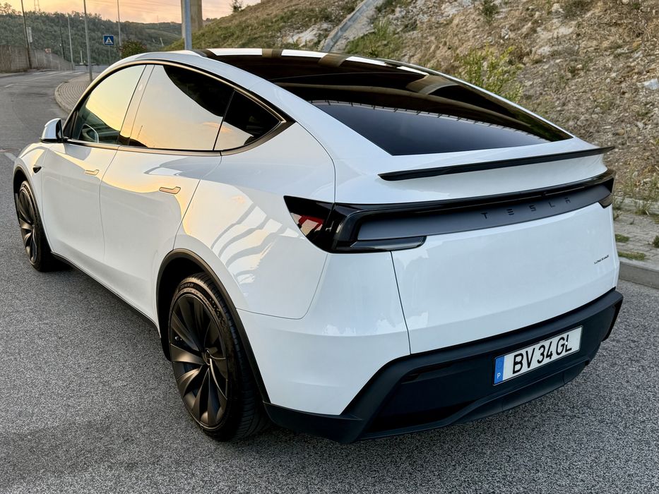 Tesla MY Juniper Rwd Long-Range - Extras Perf.