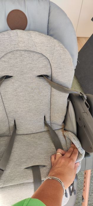 Cadeira Refeição Maxi Cosi