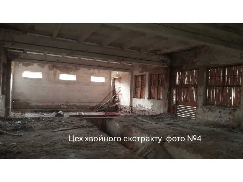 ПРОДАЖ - Цех стружки - майстерня РММ, їдальня та цех хвойного екстракту, площею 1289,0 кв.м. м. Володимир, вул. Сонячна, 1