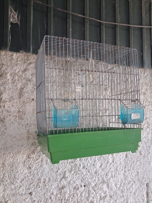 Gaiolas aves pequenas  e papagaios