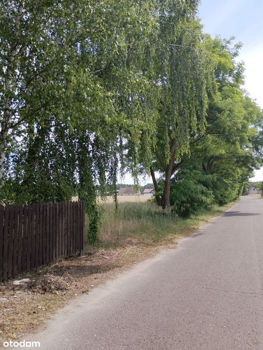 Zdjęcie 8