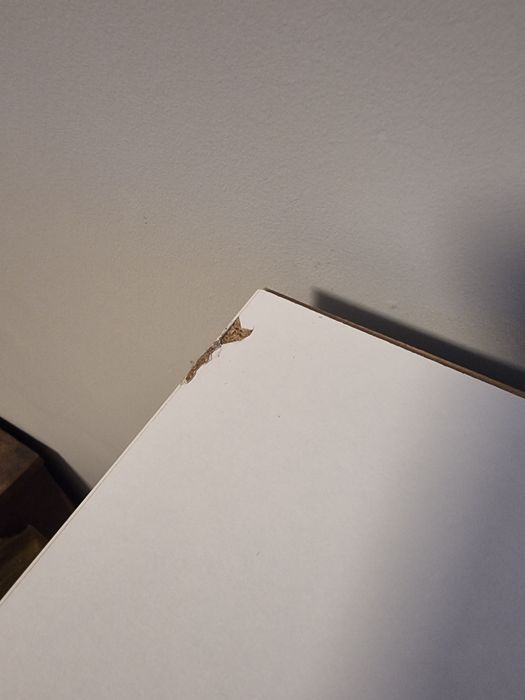 Komoda biała 90cm 4 szuflady