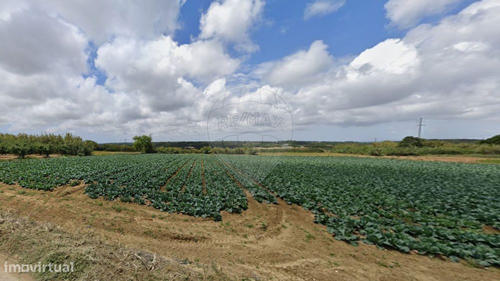 Terreno  para venda