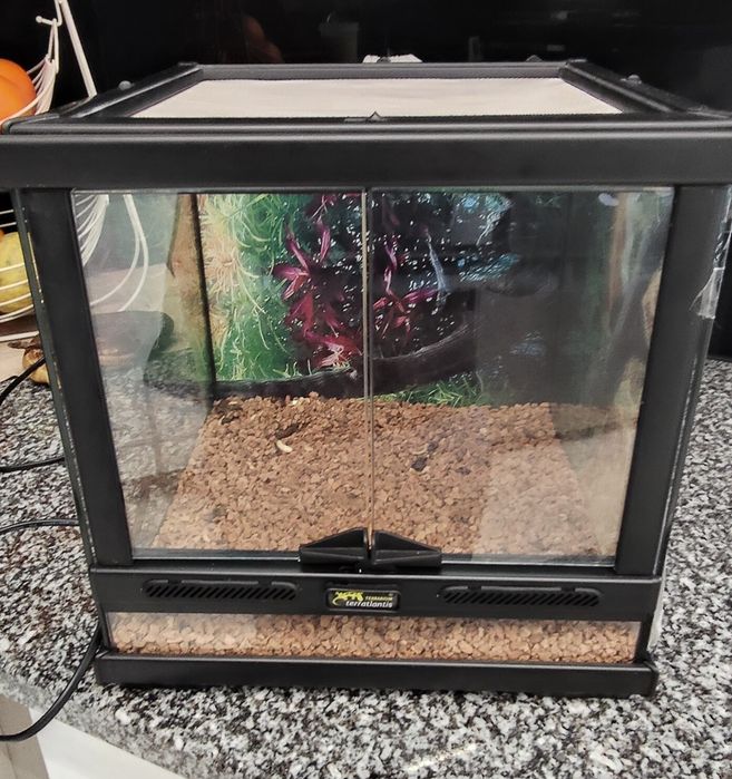 Terrário com resistência para réptil