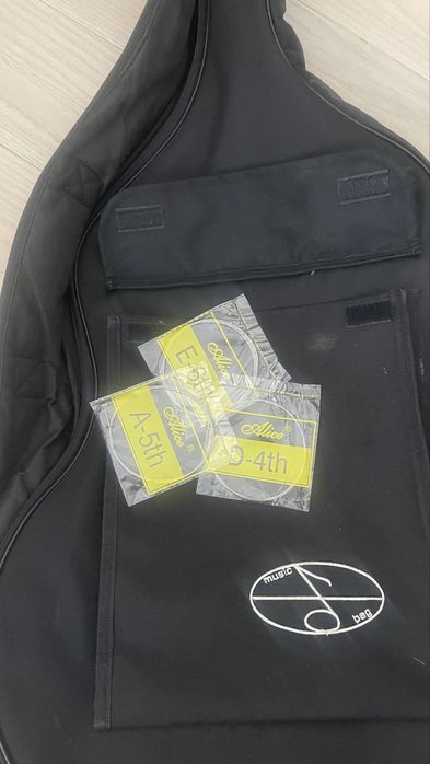 Акустична гітара SX з чохлом