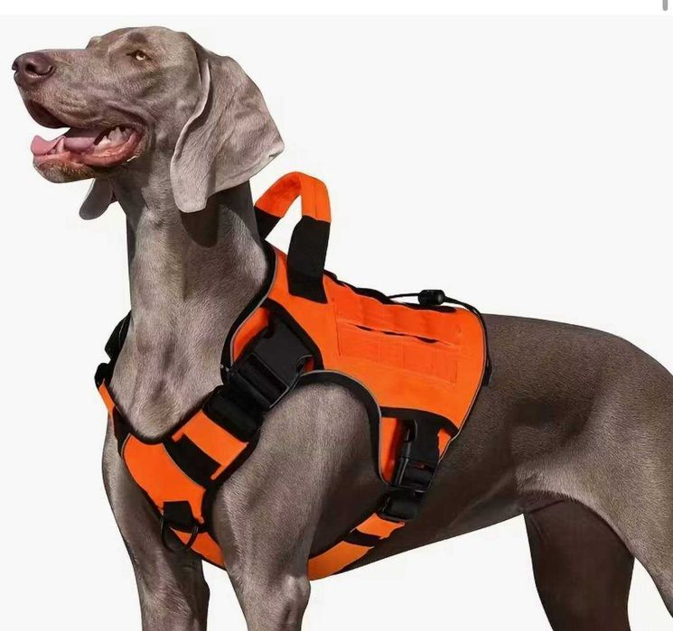 Жылет для псов крупной породы