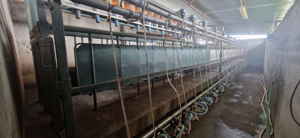 Sala de ordenha cabras ovelhas Fullwood 36 pontos