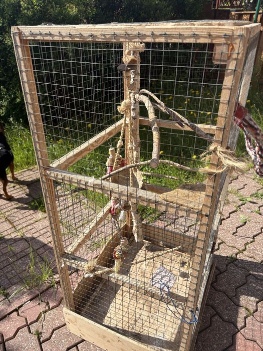 Klatka na ptaki, papugi