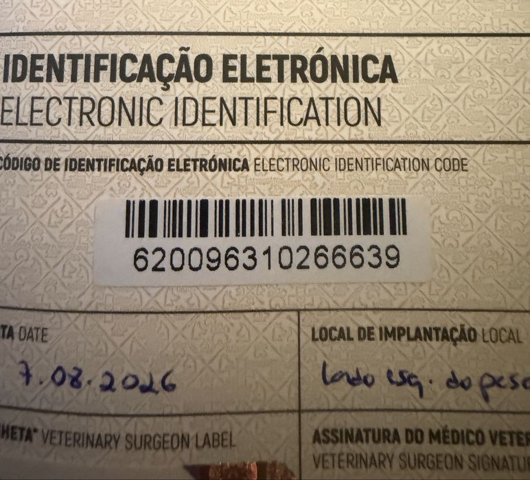 Menina pequena preta