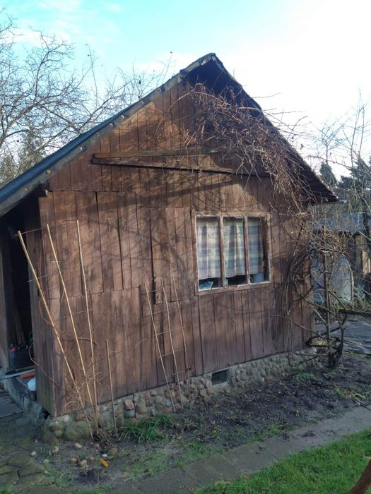 Rozbiórki altan ROD, Wywóz, Czyszczenie działek, Wycinka drzew