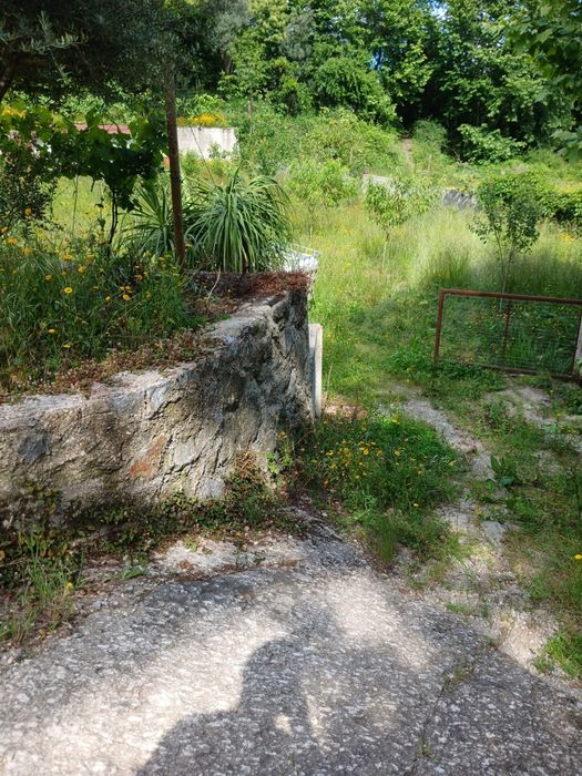 Vendo terreno com ruina para construir.