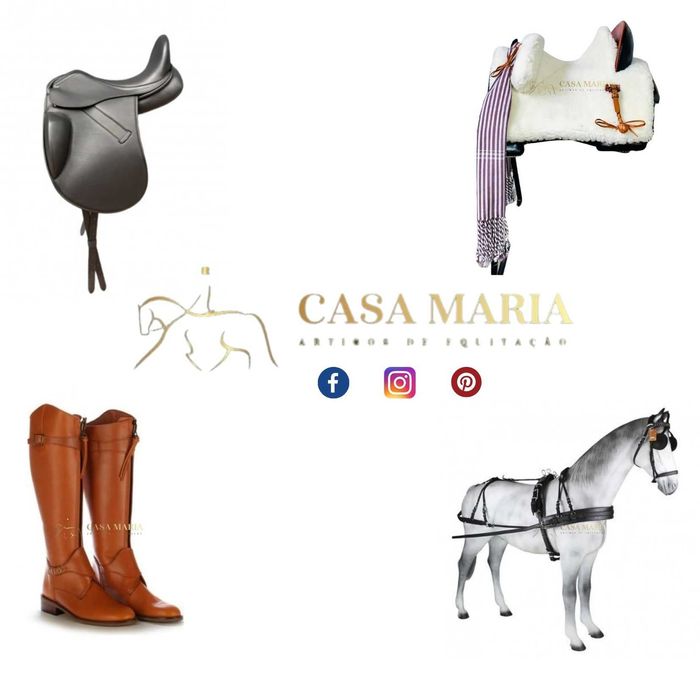 Sela/ Selim de Dressage Zaldi Londres - Novos