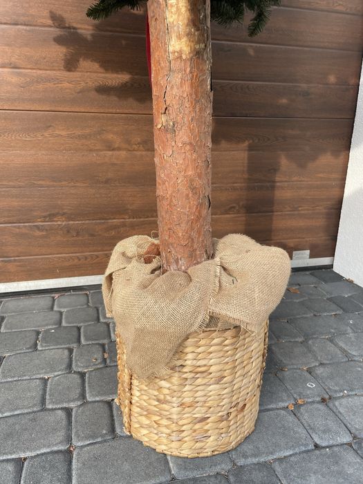 Choinka sztuczna na pniu 240 cm Używana