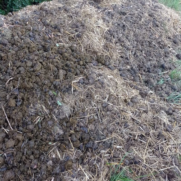 Oborniki Koński eko