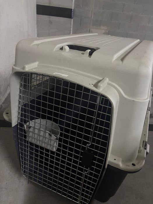 Caixa transportadora