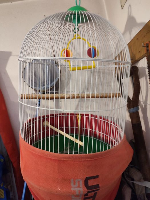 Gaiolas de pássaros