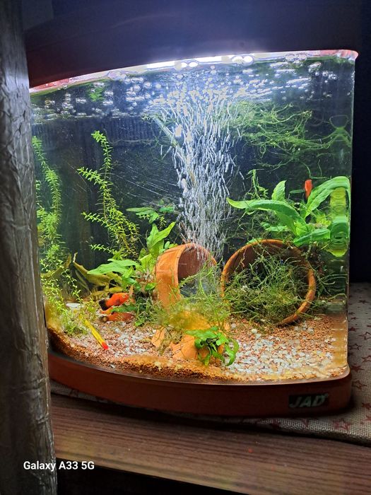 Aquario completo a trabalhar