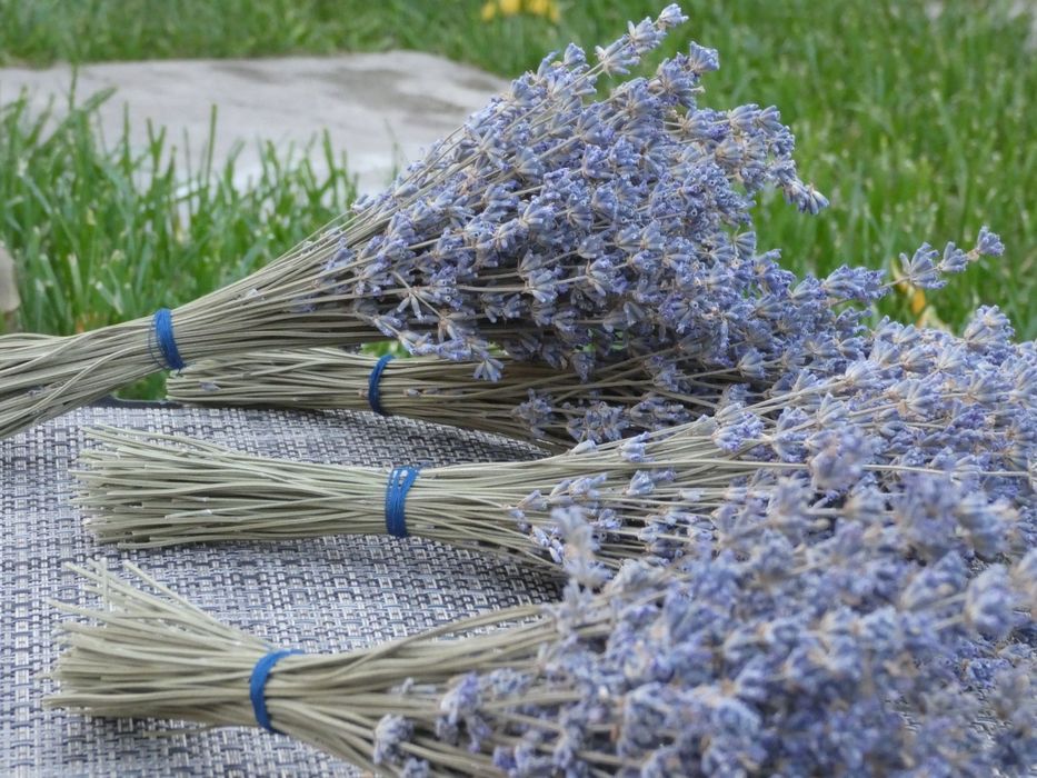 Лаванда сушена, ароматний букетик, сухоцвіт, чай,