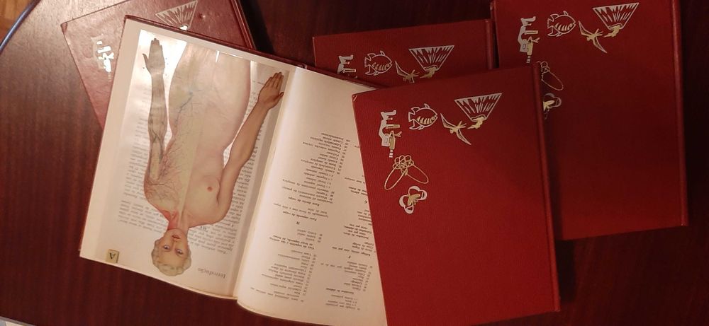 Livros enciclopédia da natureza