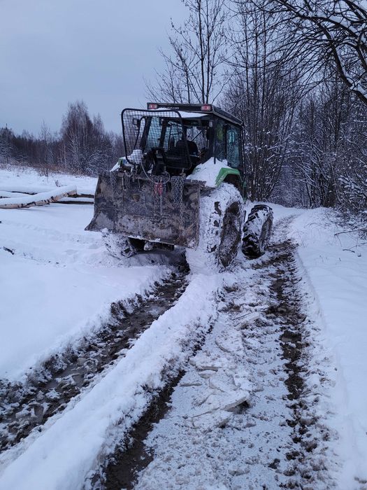 Scinka zrywka pozyskiwanie transport drewna drzewa