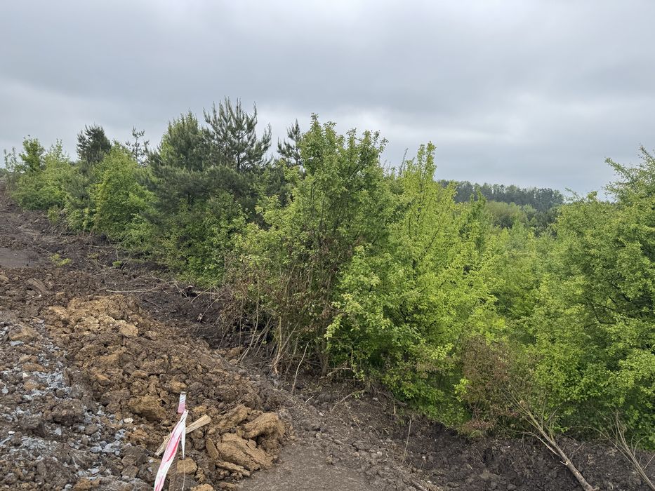 Продаж земельноі Ділянки 30 соток Епіцентр Ружична