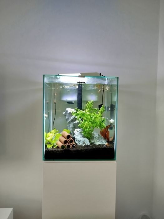 Akwarium Aquael 49 L kostka z szafką