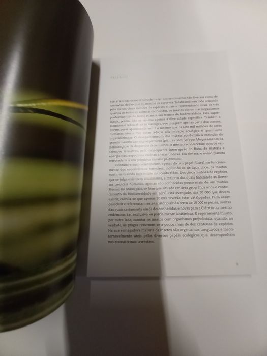 Livro sobre os insectos existentes em Portugal
