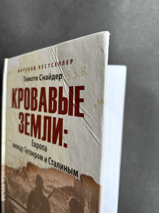 Тимоти Снайдер Кровавые земли Европа меджу Гитлером и Сталиным