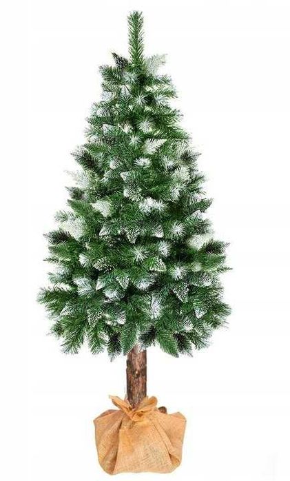 Ялинка сосна засніжена на натуральному пні  180 см штучна