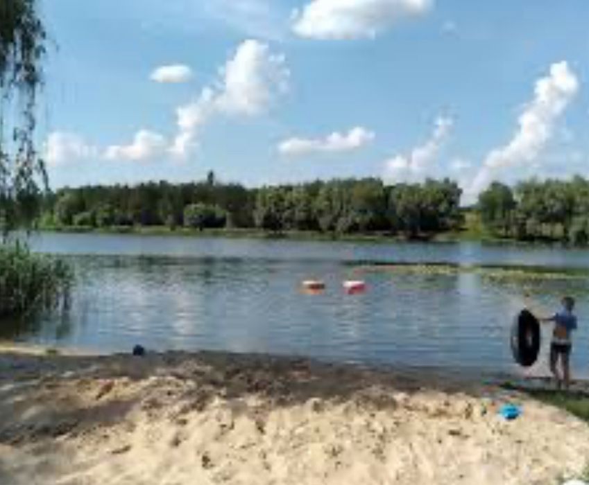 Село Андреевка участок 65 соток , 25 сот приватезировано