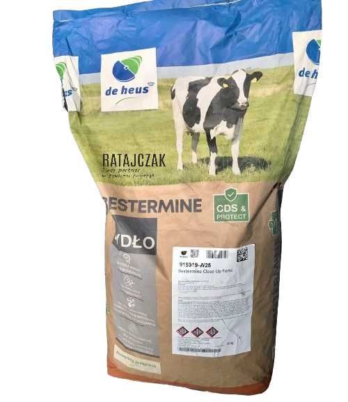 BESTERMINE CLOSE UP FORTE- krowy mleczne, zasuszone, przed wycieleniem