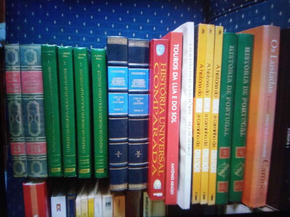 Livros Diversos (+ de 60 livros) Individual ou lote (Ver descrição