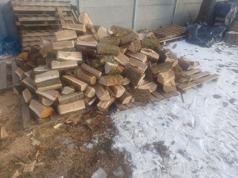 Drewno kominkowe dąb