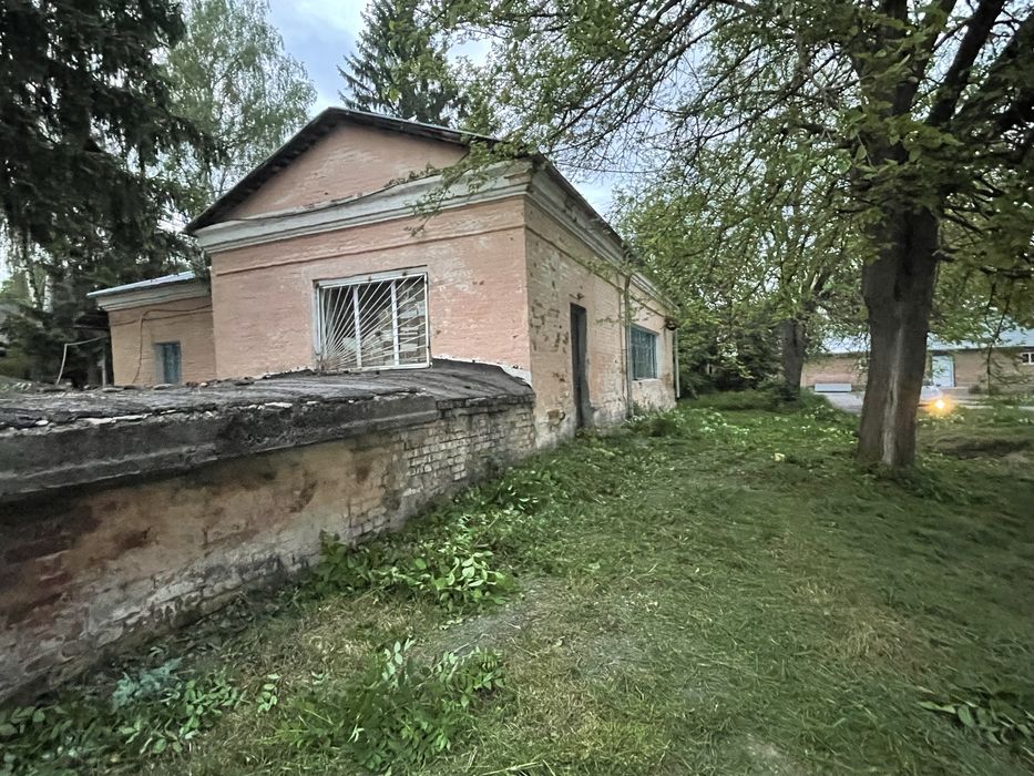 Косіння трави/поріз дерев /зачистка територій