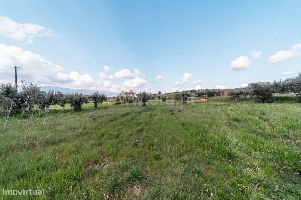 Terreno Rústico / Fundão, Aldeia Nova — Fundão, Valverde, Donas, Aldeia De Joanes E Aldeia Nova Do Cabo, Castelo Branco