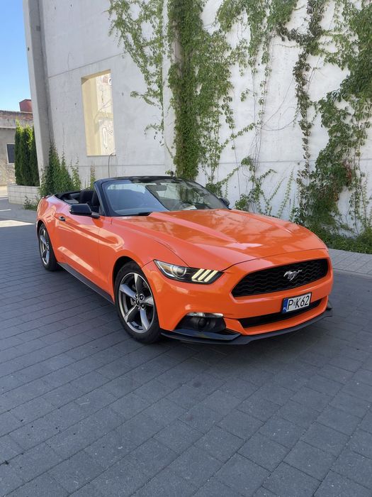 Ford Mustang Ford Mustang Cabrio 2015r. Piękny Stan BDB