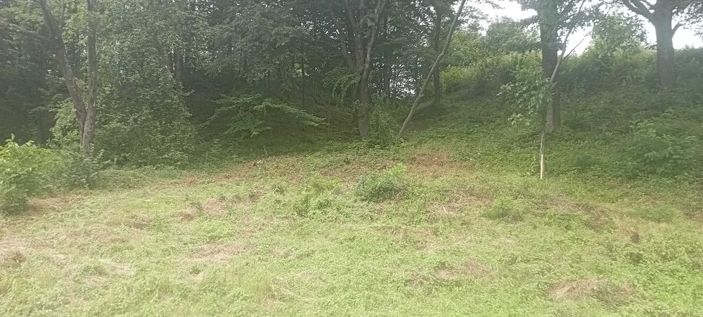 Ціну змінено! Продаємо ділянку у Квітки Полонини Солочин Закарпатськ