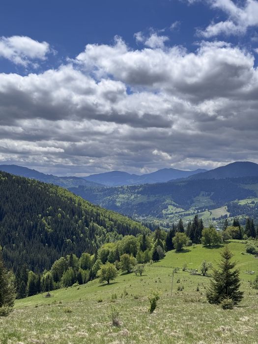 Ділянка 3,64 га у Карпатах з видом на Чорногірський хребет