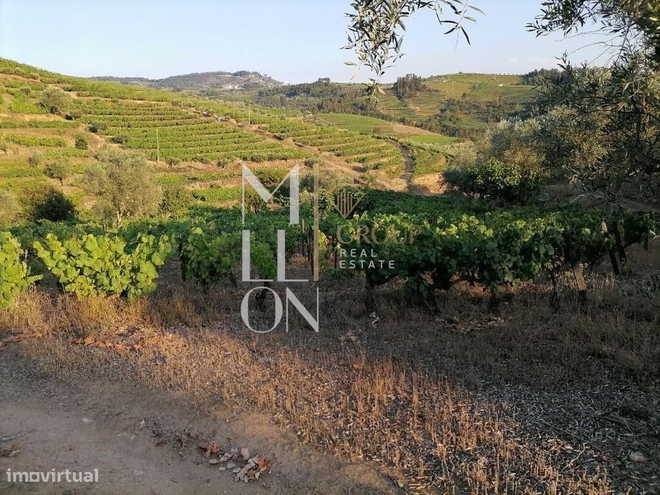 Encantadora Quinta com cerca de 3 Hectares de Tradição e Beleza Natura