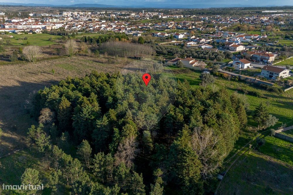 Terreno  para venda — Cadima, Coimbra
